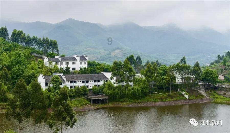 媒体：以色列和哈马斯同意休战一个月